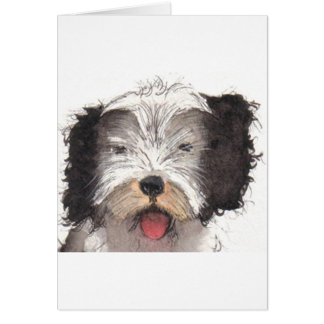Old English Sheepdog Puppy (Vorne)