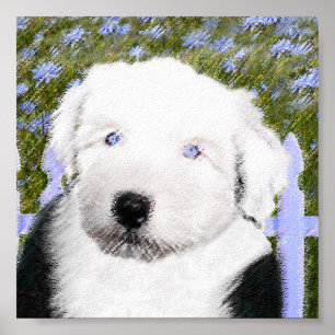 Old English Sheepdog Puppy Painting - Dog Art Poster
