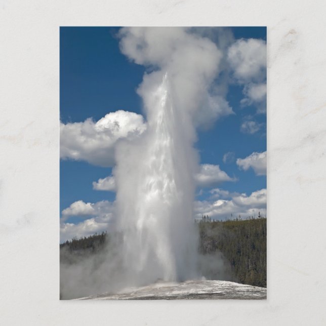 Old Faithful Geyser - Carte postale (Devant)