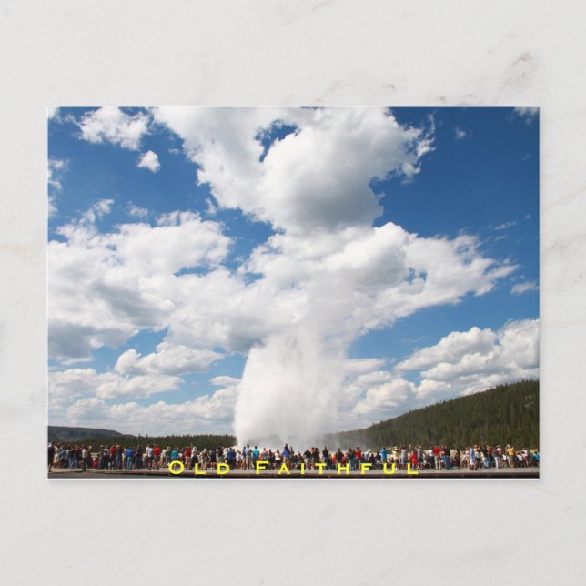 Old Faithful Geyser Postcard: Yellowstone Nat'l Postkarte (Vorderseite)