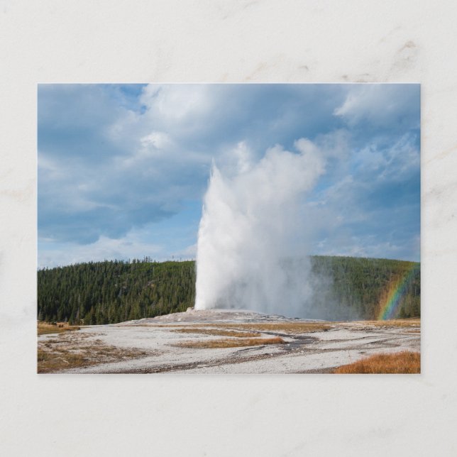 Old Faithful Geyser Postkarte (Vorderseite)