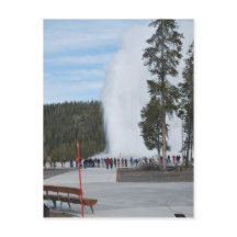 Old Faithful Geysir im Yellowstone Park
