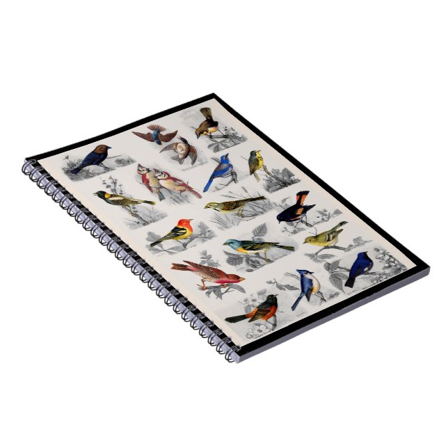 Old Fashioned Birds Notebook Notizblock (Rechte Seite)