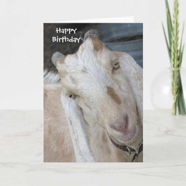 Old Goat Birthday Card - Einfache Personalisierung Karte (Vorderseite)