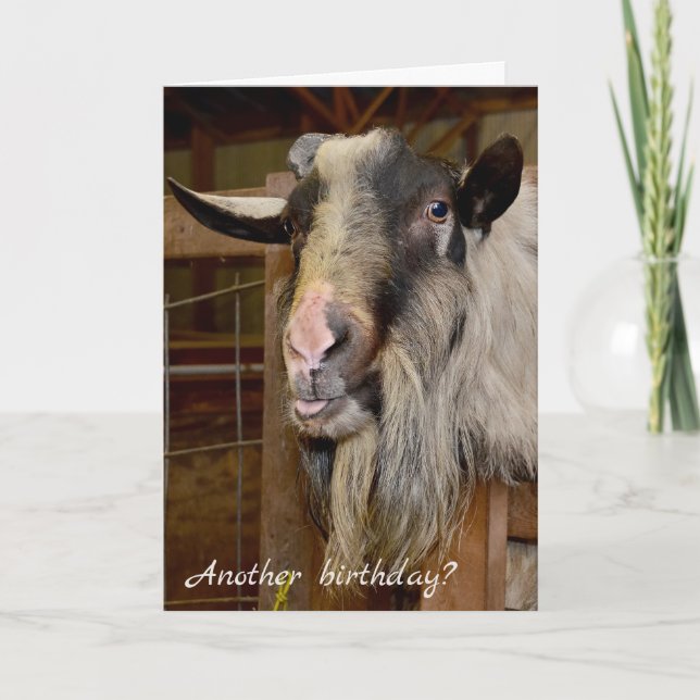 Old Goat Birthday Spaß Karte (Vorderseite)
