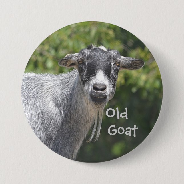 Old Goat Button (Vorderseite)