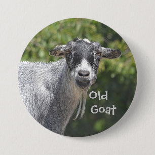 Old Goat Button