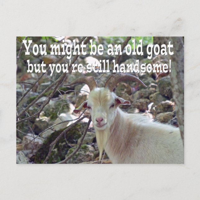 Old Goat Card Postkarte (Vorderseite)