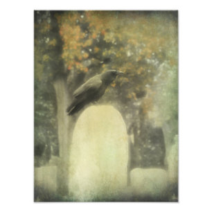 Old Graveyard Raven Fotodruck