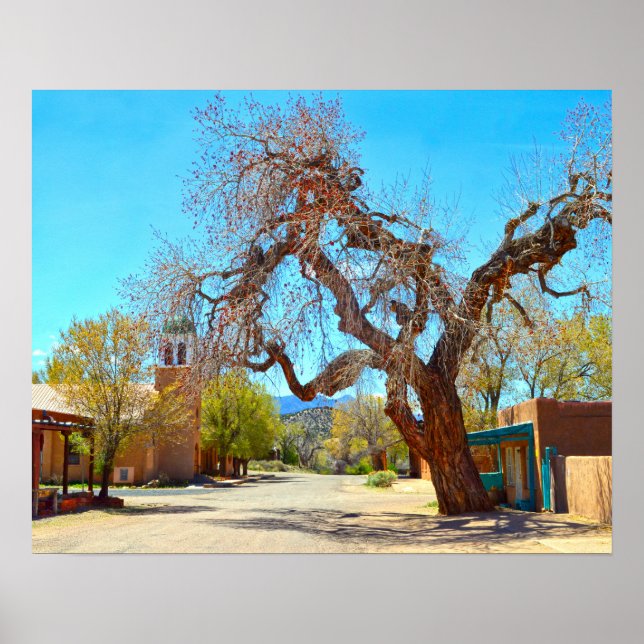 Old Hanging Tree, Cerrillos,  New Mexico Poster (Vorne)