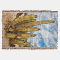 Old Man Cactus portrait, Mexiko