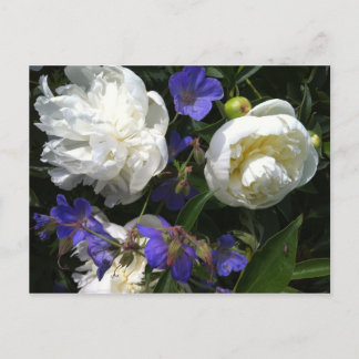 Old Masters Garden Postcard Postkarte