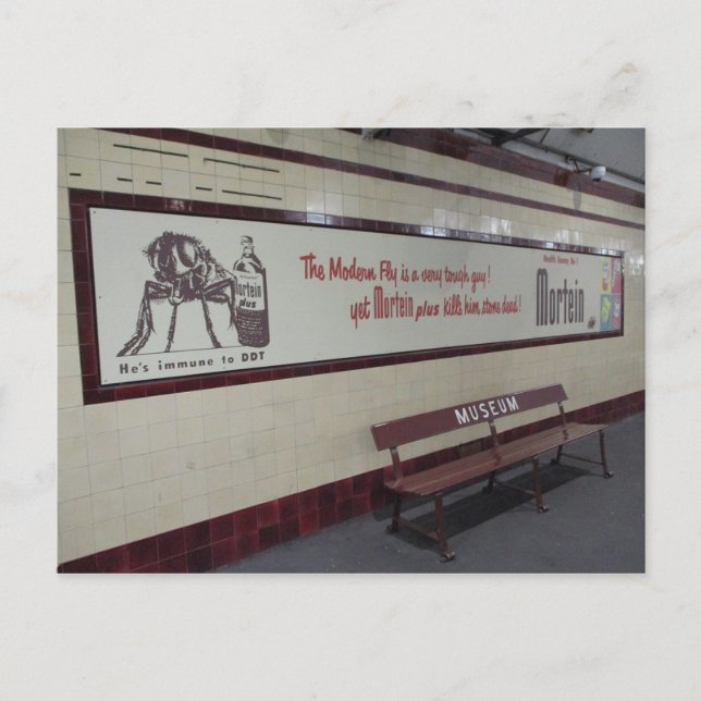Old Mortein Ad in Museum Station Postcard Postkarte (Vorderseite)