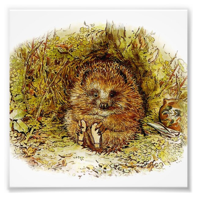 "Old Mr Pricklepin" von Beatrix Potter Fotodruck (Vorne)