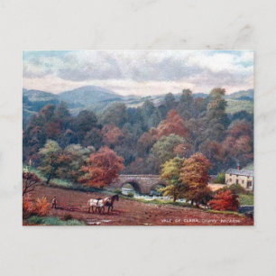 Old Postcard - Co Wicklow, Irland Postkarte