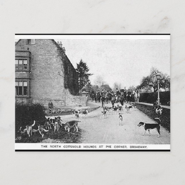 Old Postcard - N Cotswold Hounds, Broadway Postkarte (Vorderseite)