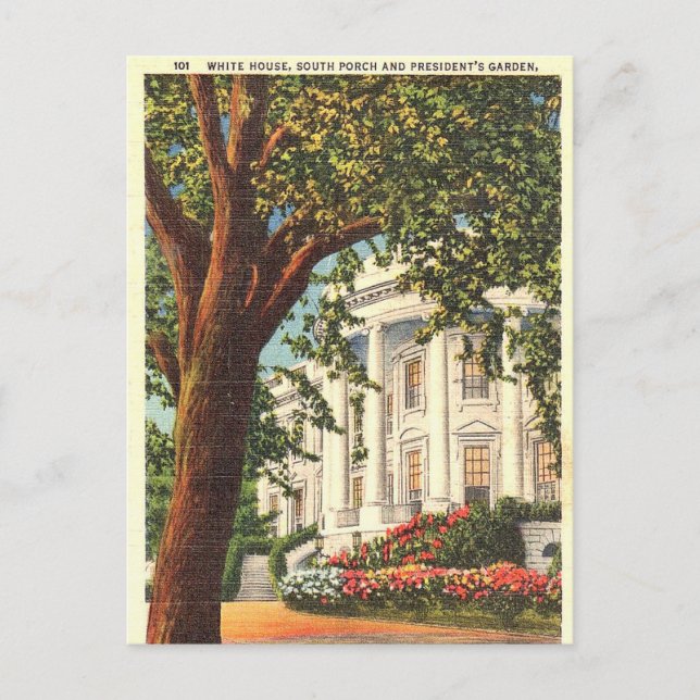 Old Postcard - White House, Washington, DC Postkarte (Vorderseite)