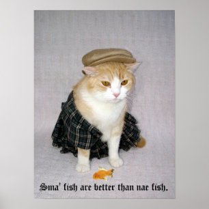 Old Scottish Fold Sprichwort Poster