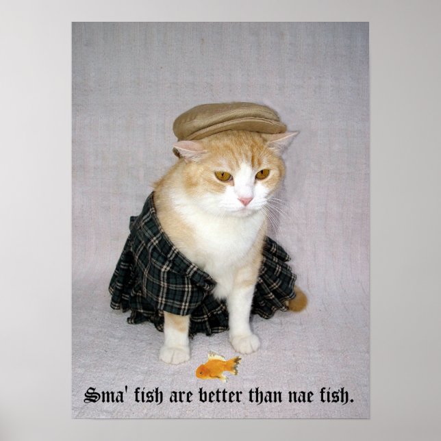Old Scottish Fold Sprichwort Poster (Vorne)