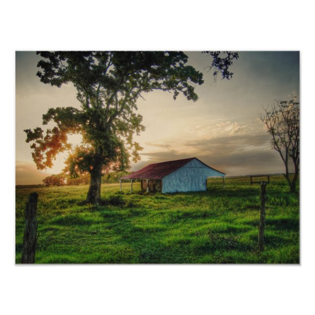 Old Shed Fotodruck (Vorne)
