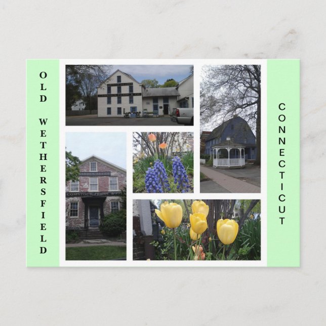 Old Wethersfield Connecticut Postcard Postkarte (Vorderseite)
