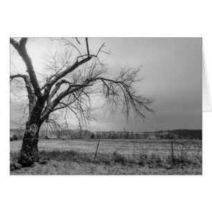 Old Winter Tree Gris