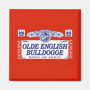 Olde Englisch Bulldogge Magnet