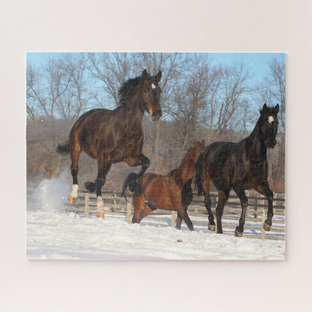 Oldenburg und Hanoverian Mares im Schnee (Horizontal)