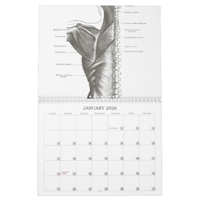 OldSchool Anatomie Kalender (Jan 2026)