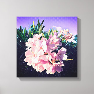 Oleander-Blüten auf Stretch-Leinwand in zartem Ros Leinwanddruck