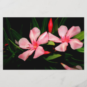 Oleander Briefpapier