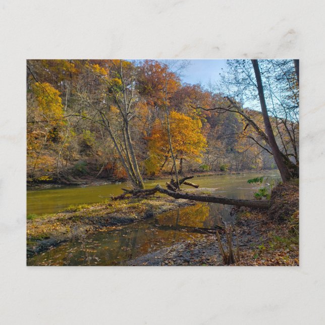 Olentangy River in Herbst, Highbanks Metro park, O Postkarte (Vorderseite)