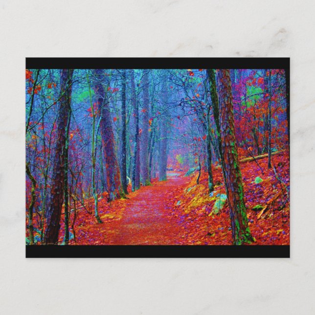 Ölgemälde aus Schwarzwald Postkarte (Vorderseite)