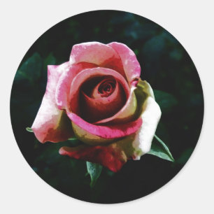 Ölgemalte Rose Runder Aufkleber