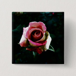 Ölgemalte rote Rose Button