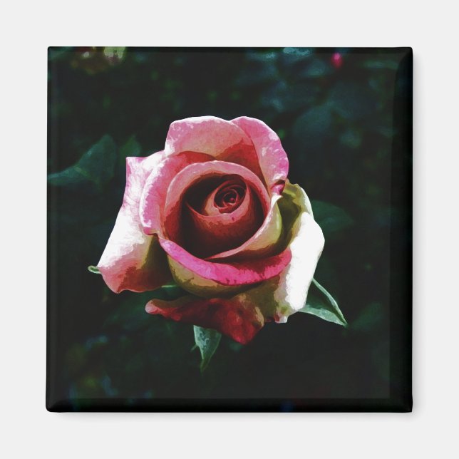Ölgemalte rote Rose Magnet (Vorne)