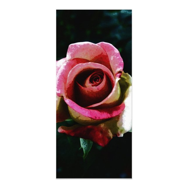 Ölgemalte rote Rose Werbekarte (Vorne)