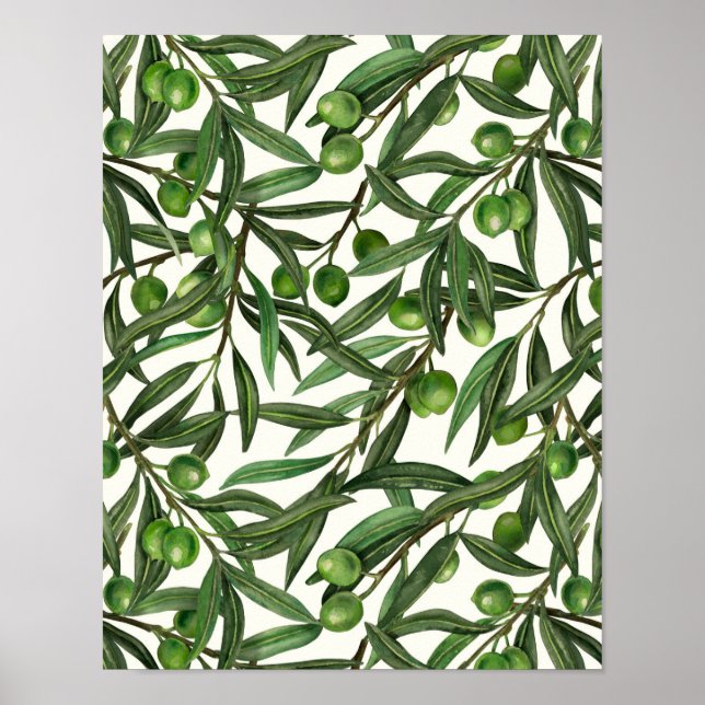 Olive-Äste auf weißer Seite Poster (Vorne)
