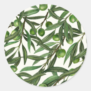 Olive-Äste auf weißer Seite Runder Aufkleber