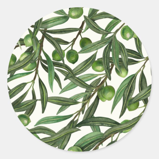 Olive-Äste auf weißer Seite Runder Aufkleber (Vorderseite)
