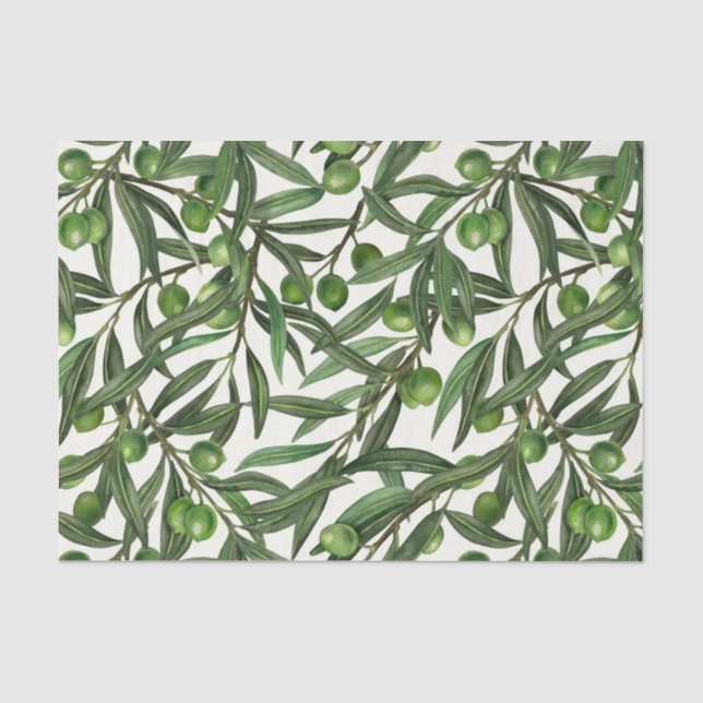 Olive-Äste auf weißer Seite Seidenpapier (Vorderseite)