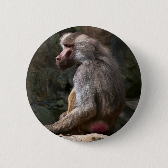 Olive Baboon Button (Vorderseite)