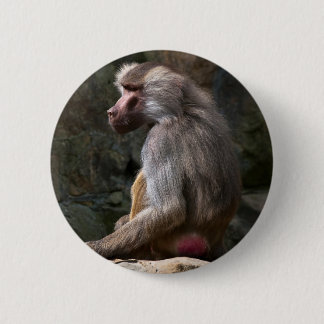 Olive Baboon Button