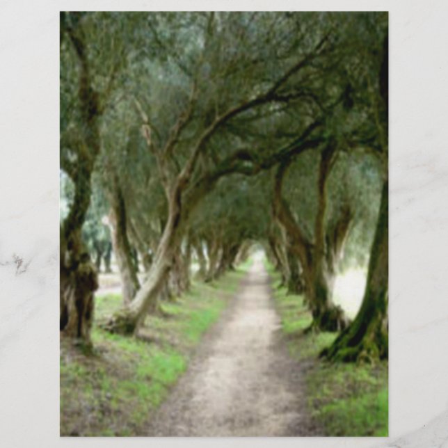 Olive Garden Flyer (Vorne)