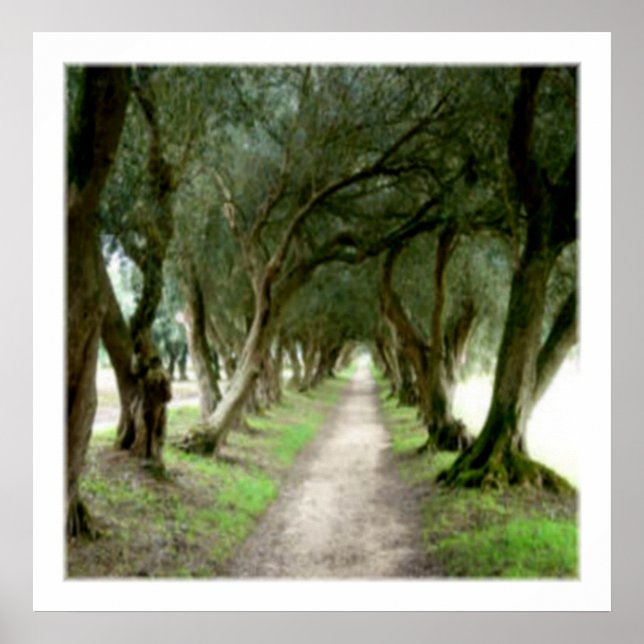 Olive Garden Print Poster (Vorne)