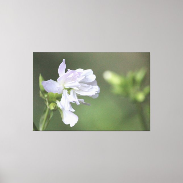 Olive Green Print Leinwanddruck (Vorderseite)