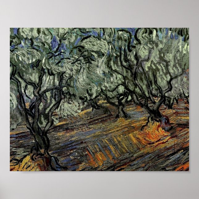 Olive Grove, Bright Blue Sky Van Gogh Fine Art Poster (Vorne)