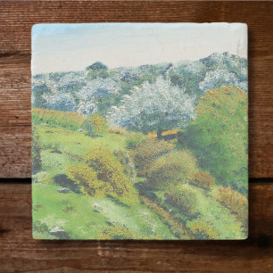 Olive Grove Steinuntersetzer