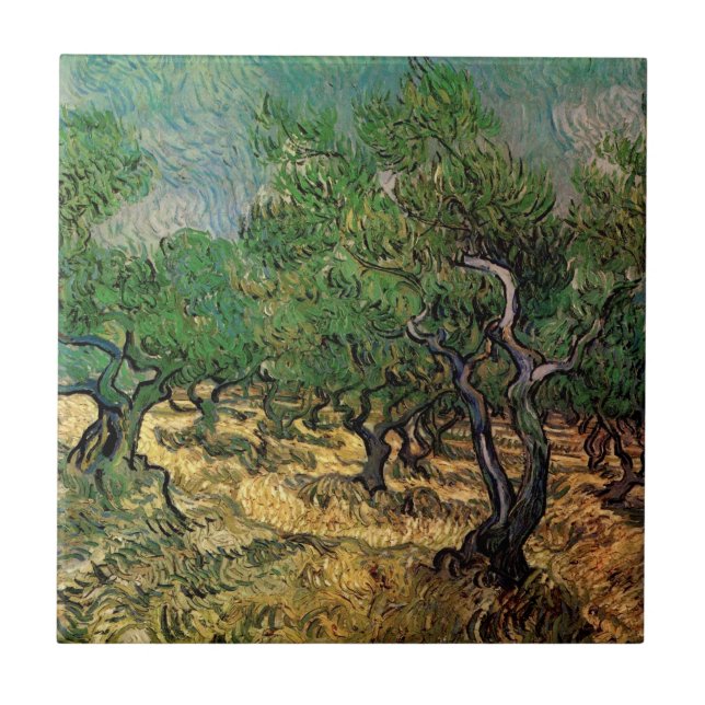 Olive Grove von Vincent van Gogh Fliese (Vorderseite)