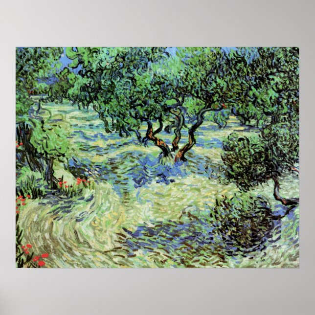 Olive Grove von Vincent van Gogh Poster (Vorne)